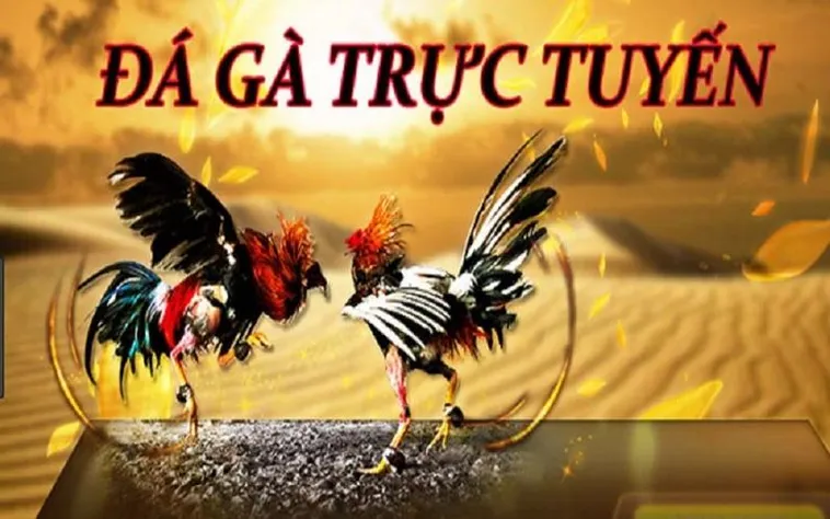 Hướng Dẫn Cách Chơi Đá Gà 3D Tại Luck8 Hấp Dẫn Nhất