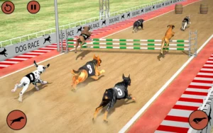 Hướng Dẫn Cách Chơi Game Nhanh Đua Chó Tại Luck8 Để Thắng Đậm