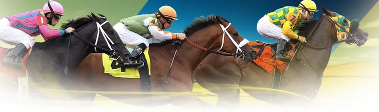 Tìm Hiểu Cá Cược Đua Ngựa Luck8: Trải Nghiệm Kịch Tính Tỷ Lệ Thưởng Cao